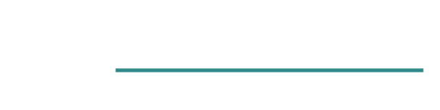 Severnside Solutions